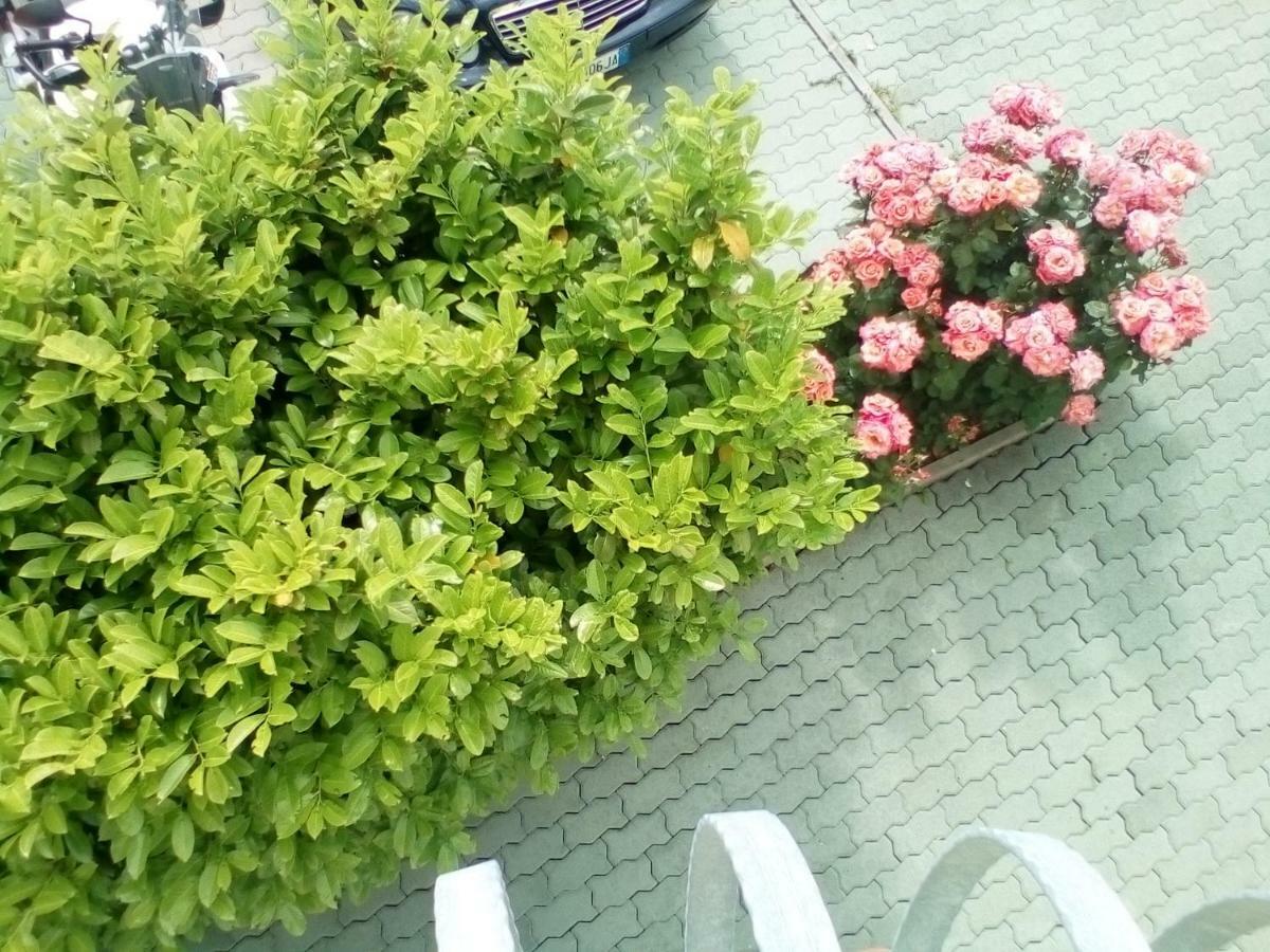 Ana Rooms Krk Town Exterior photo
